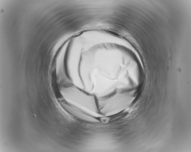 X0000069821344200606161905