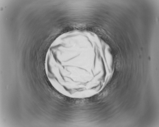 X0000069821345200606161904