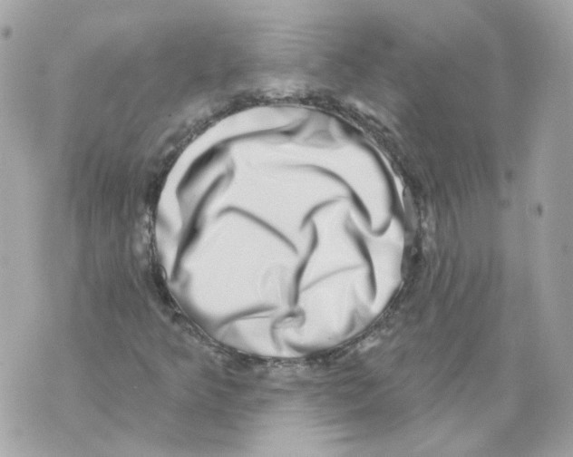 X0000069821349200606161904