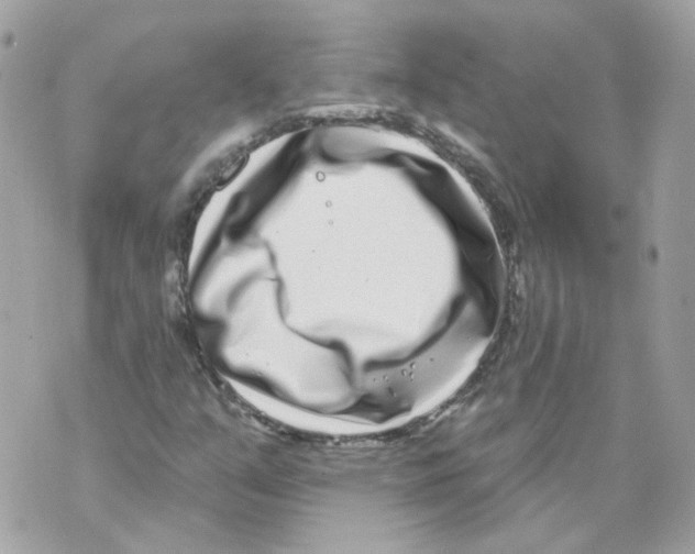X0000069821351200606161904