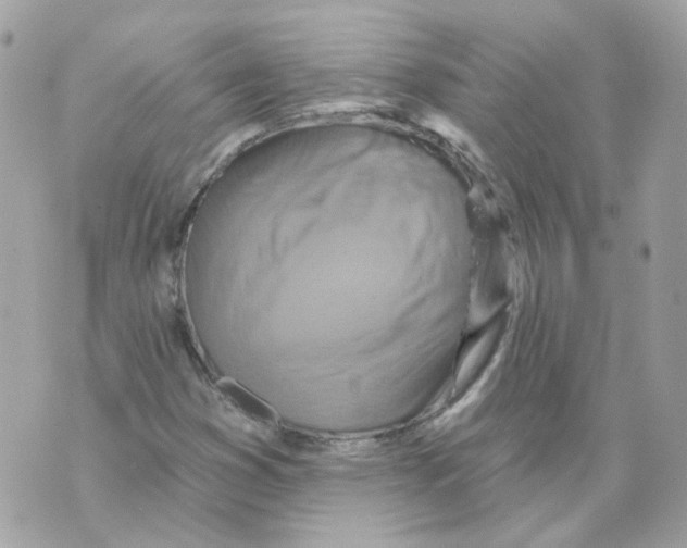 X0000069821353200606161904