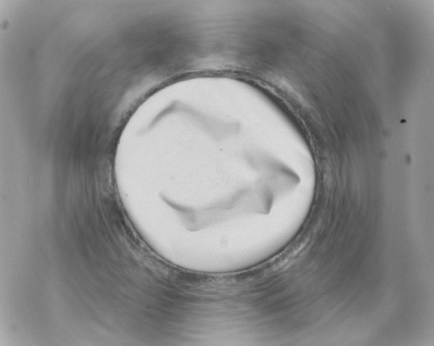 X0000069821358200606161904