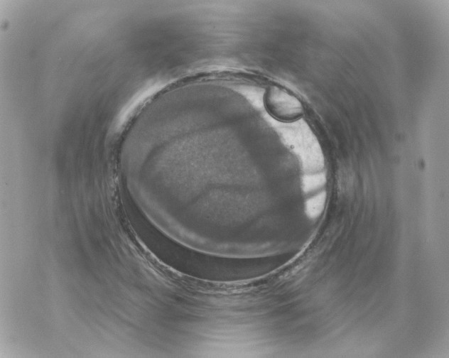X0000069821359200606161904