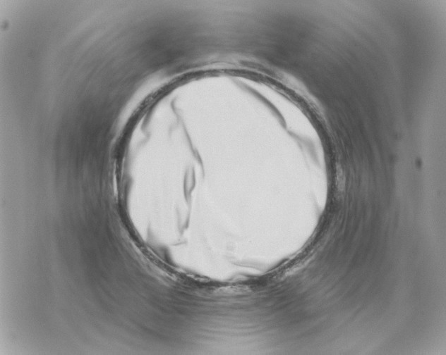 X0000069821368200606161904