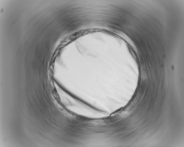 X0000069821388200606161904