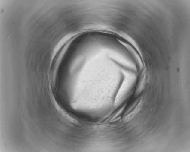 X0000069821389200606161904