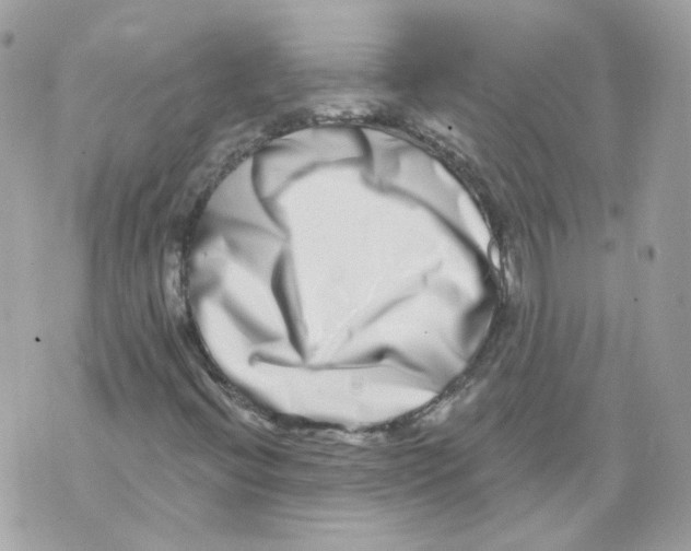 X0000069821396200606161903