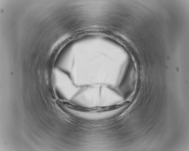 X0000069821402200606161903
