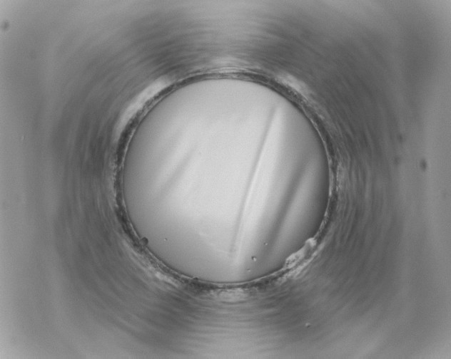 X0000069821410200606161903