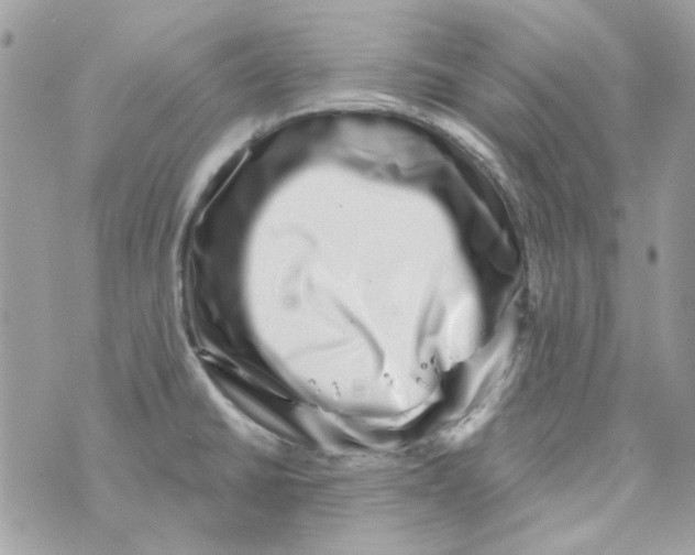 X0000069821430200606161903