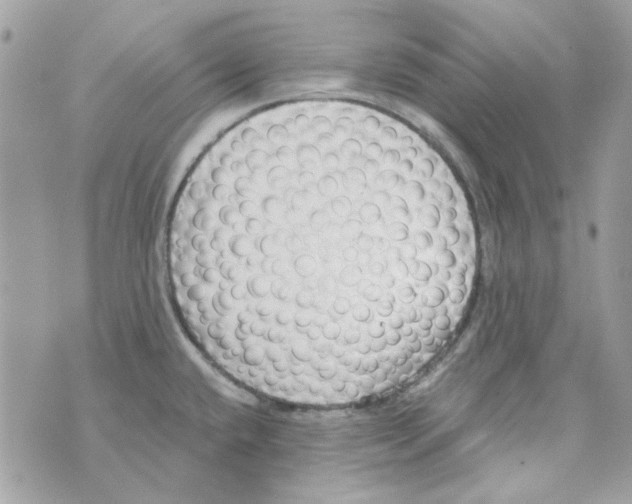 X0000069821432200606161903