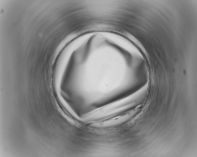 X0000069821437200606161903