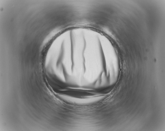 X0000069821456200606161903