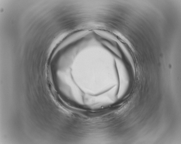 X0000069821477200606161902