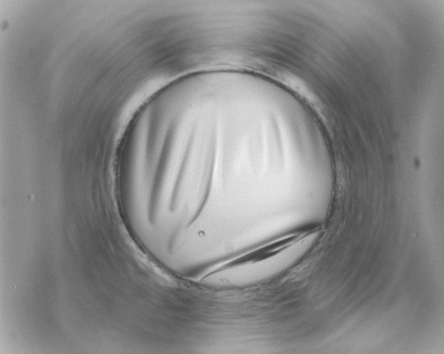 X0000069821480200606161902
