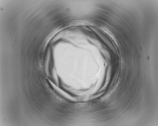 X0000069821481200606161902