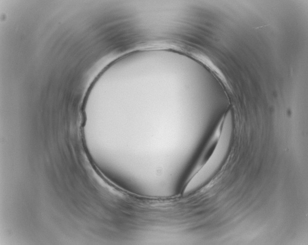 X0000069821484200606161902