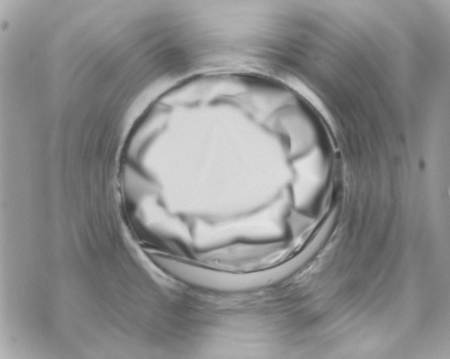 X0000069821485200606161902