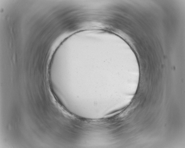 X0000069821488200606161902