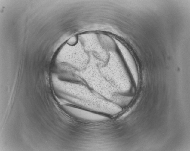 X0000069821505200606161901