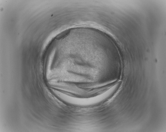 X0000069821506200606161902