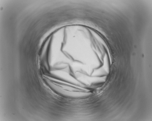 X0000069821510200606161902