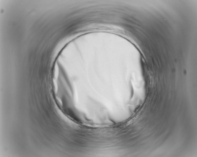 X0000069821531200606161902