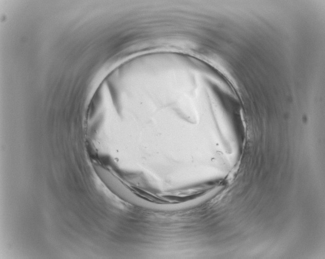 X0000069821532200606161902