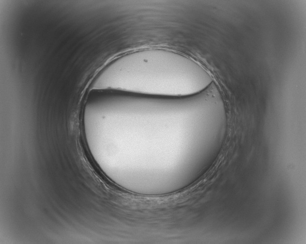 X0000069830002200605190954