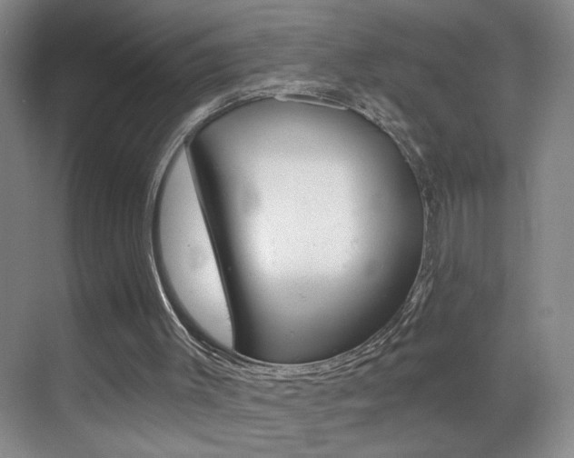 X0000069830003200605190954