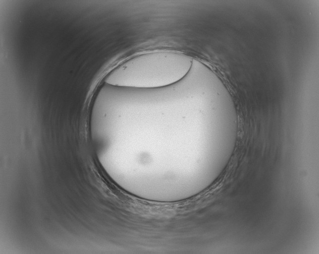 X0000069830004200605190954