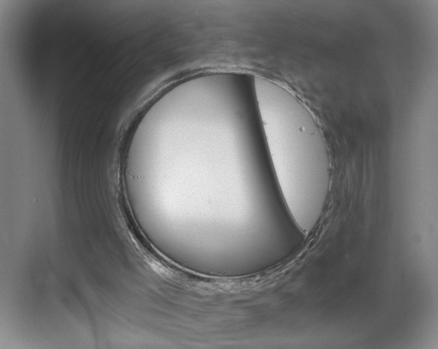 X0000069830005200605190954