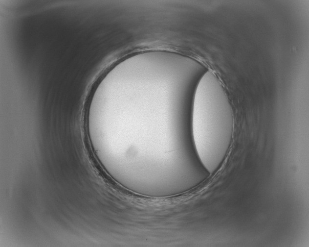 X0000069830006200605190954