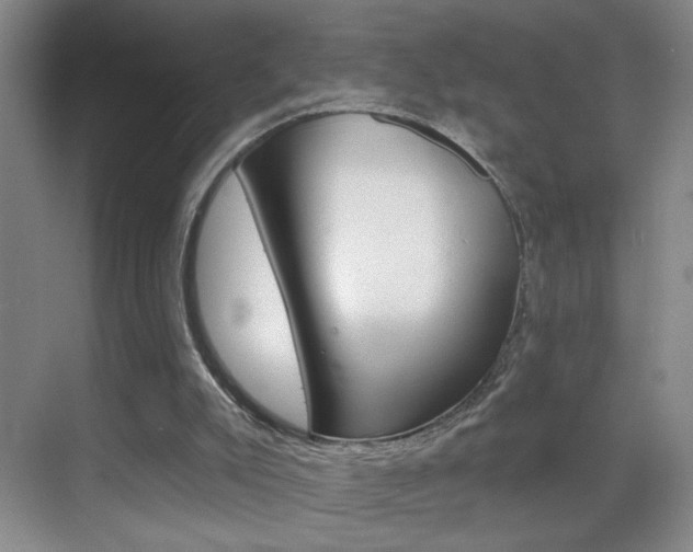 X0000069830007200605190954