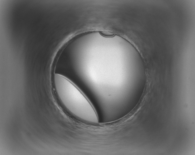 X0000069830008200605190954