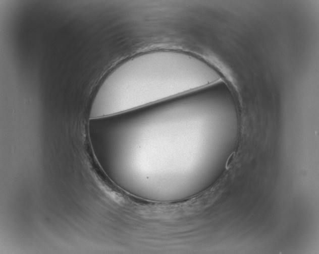 X0000069830009200605190954