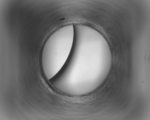 X0000069830010200605190954