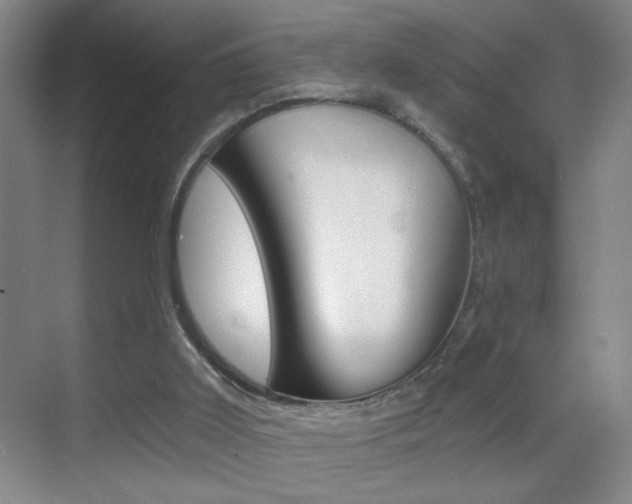 X0000069830011200605190954