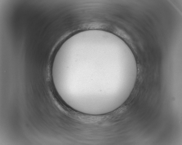 X0000069830012200605190954