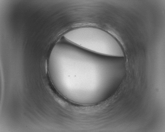 X0000069830013200605190954