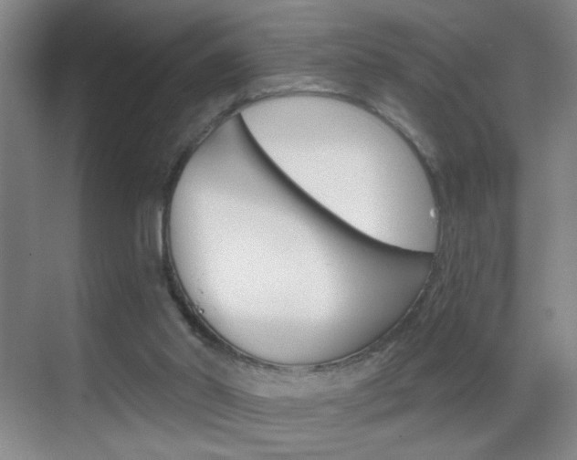 X0000069830014200605190954