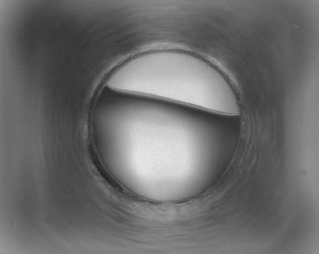 X0000069830015200605190954