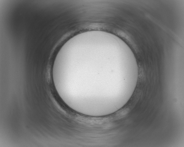 X0000069830016200605190954