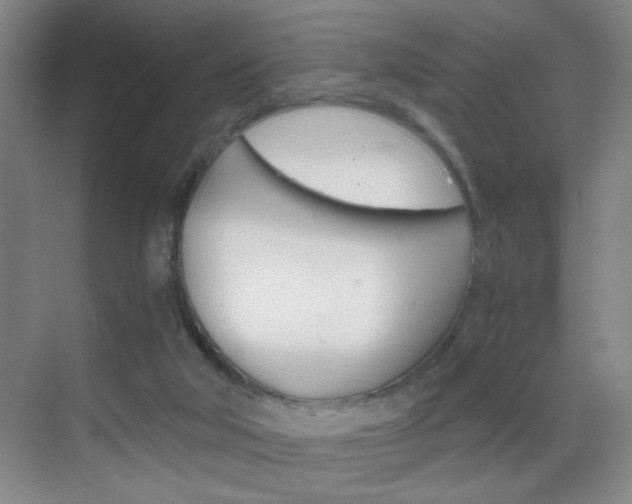 X0000069830018200605190954