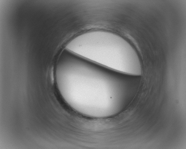 X0000069830020200605190953