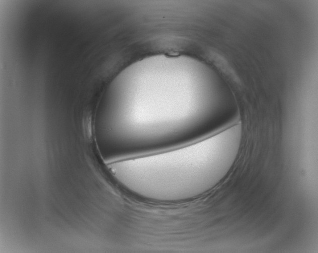 X0000069830021200605190953