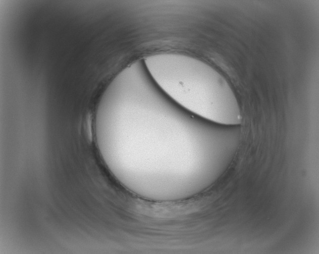 X0000069830022200605190953