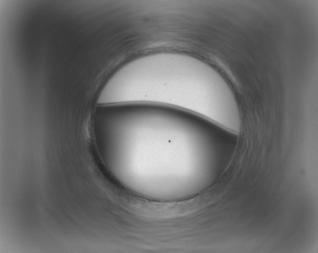 X0000069830023200605190953