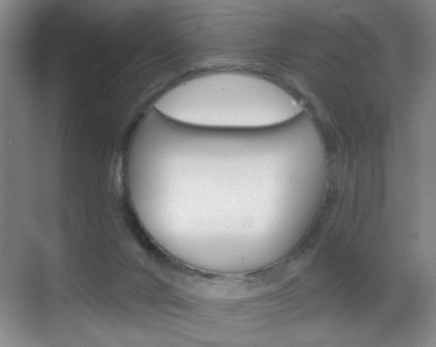 X0000069830024200605190953