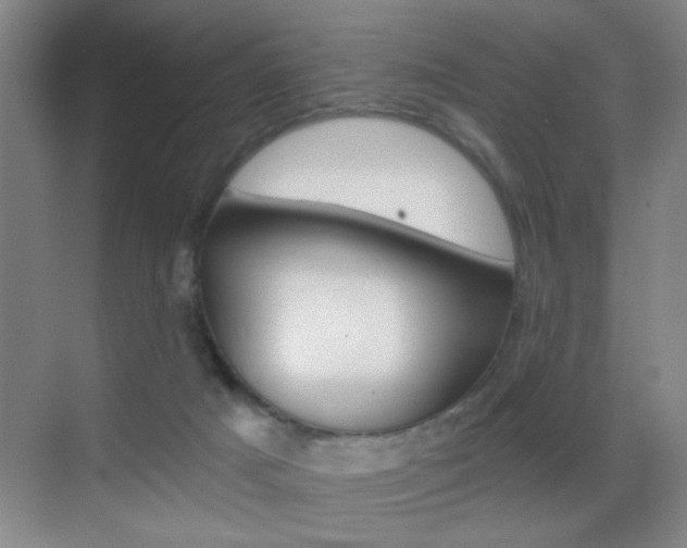 X0000069830025200605190953